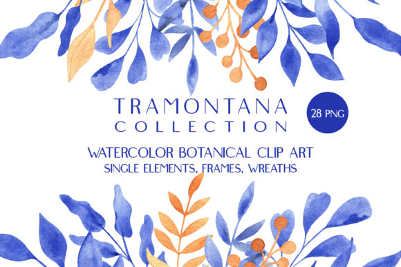 Blue and Orange Watercolor Botanical Set Illustrations