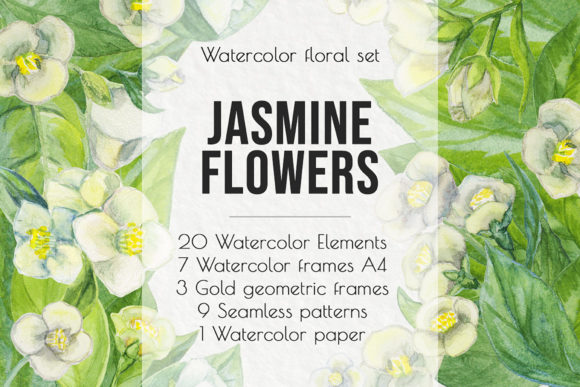 Jasmine Flowers Watercolor Clip Art