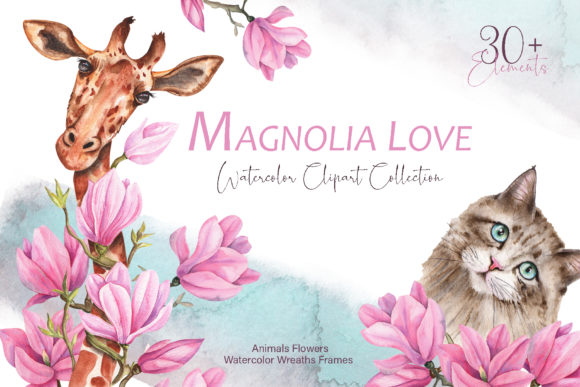 Magnolia Love Watercolor Collection and Illustrations