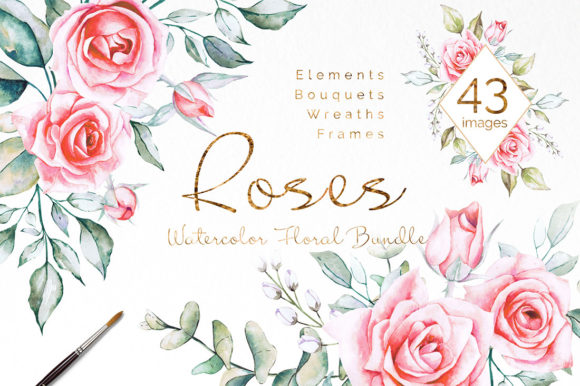Pink Roses Watercolor Floral Bundle and Illustrations