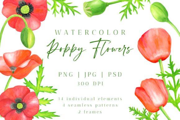Red Poppy Flower Watercolor PNG Cliparts
