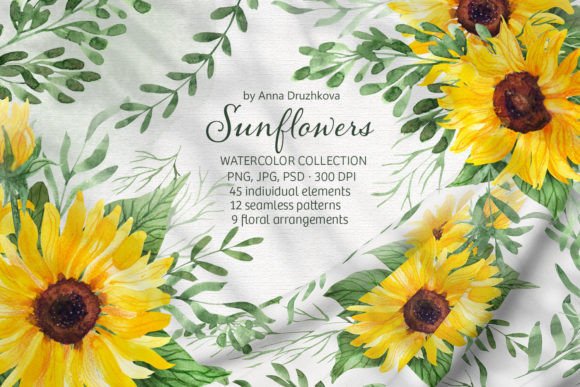 Sunflowers Watercolor Collection Illustrations