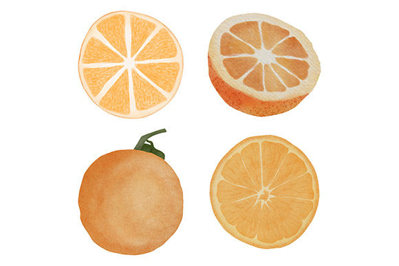 Watercolor Citrus Orange Illustration and Illustrations
