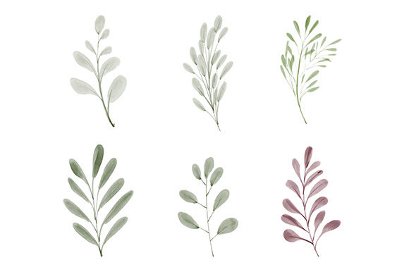 Watercolor Leaf Greenery Element Set Illustrations
