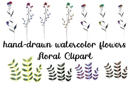 Wild Flower Watercolor Clipart and Illustrations